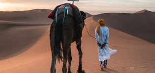 Experience agadir Desert: Camel Rides, Bedouin Culture, and Stunning Sunsets!