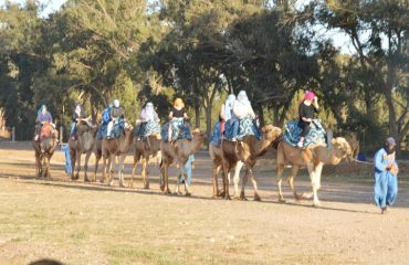 Camel ride in Agadir