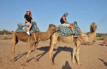 Camel ride in Agadir
