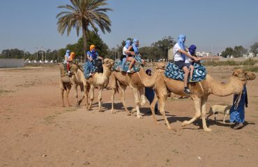 Camel ride in Agadir