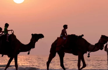 Camel ride in Agadir