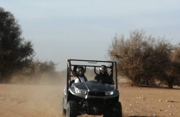 Buggy Agadir