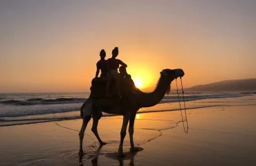 Camel ride in Agadir
