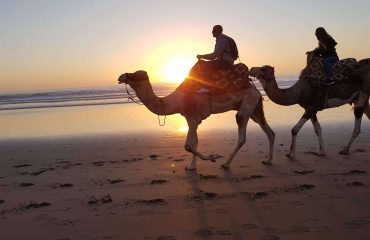 Camel ride in Agadir