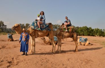 Camel ride in Agadir