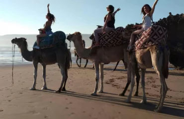 Camel ride in Agadir