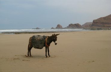 legzira-beach 2
