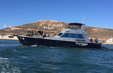 Agadir Boat Trip
