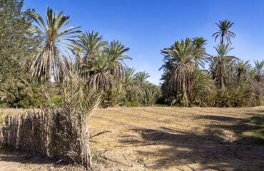 kasbah-of-tioutk